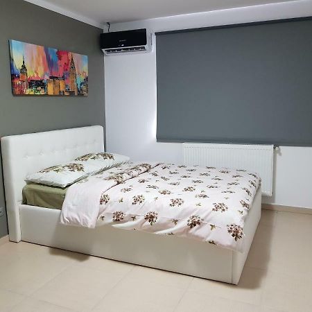 Cozy&Elegant New Studio In בוקרשט מראה חיצוני תמונה